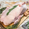 Tuszka gęsi z podrobami – świeża gęś do pieczenia
