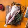 Ausgeweidetes Perlhuhnfleisch mit Hals – zartes Fleisch zum Braten