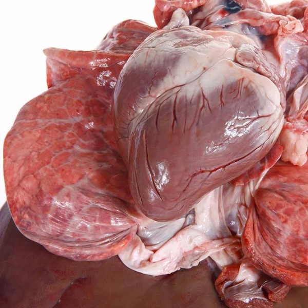 Veal lungs with heart fresh offals of the highest quality | super-stek.pl