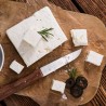 Hotos Feta Grecka PDO – tradycyjny grecki ser o bogatym smaku